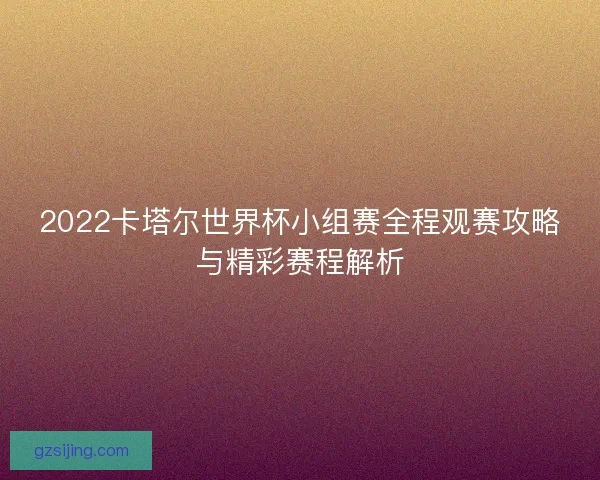 2022卡塔尔世界杯小组赛全程观赛攻略与精彩赛程解析