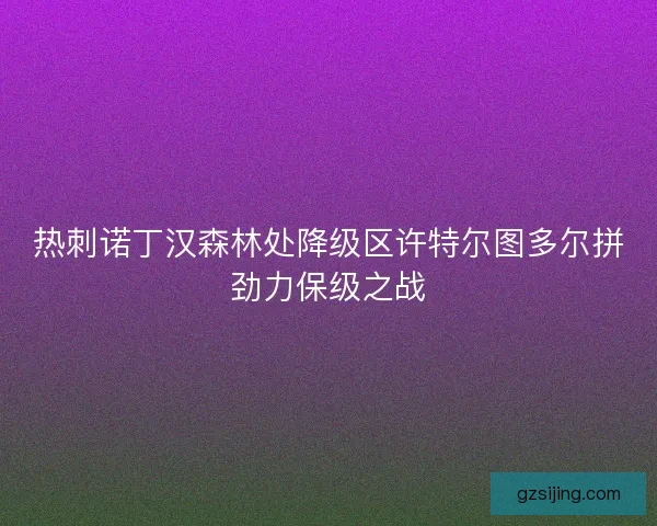 热刺诺丁汉森林处降级区许特尔图多尔拼劲力保级之战