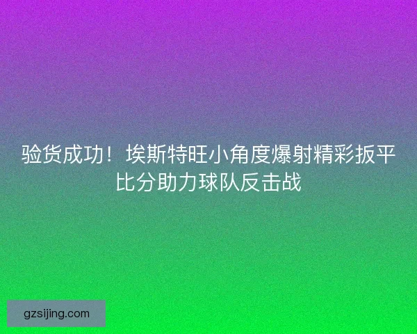 验货成功！埃斯特旺小角度爆射精彩扳平比分助力球队反击战