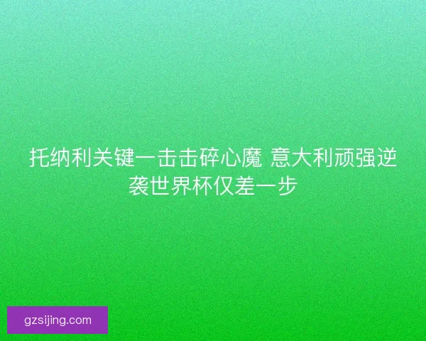 托纳利关键一击击碎心魔 意大利顽强逆袭世界杯仅差一步